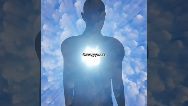 Что такое вибрация человека Ощущения гнев гордыня жалость благодарности смотреть онлайн