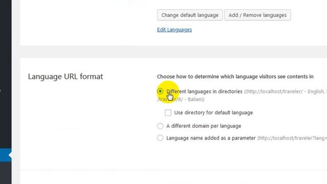[ Traveler ] How to install and setup WPML plugin смотреть онлайн