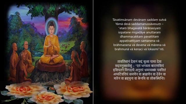 The Dhammacakkappavattana Sutta |  धम्मचक्कप्पवत्तन सुत्तं  | Dhammacakka Sutta | Pali Path