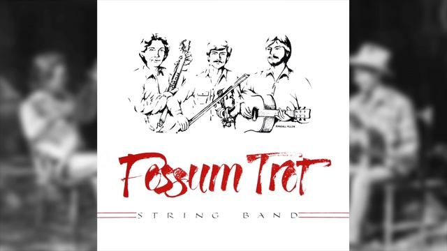 Possum Trot String Band – Hayesville Jail смотреть онлайн