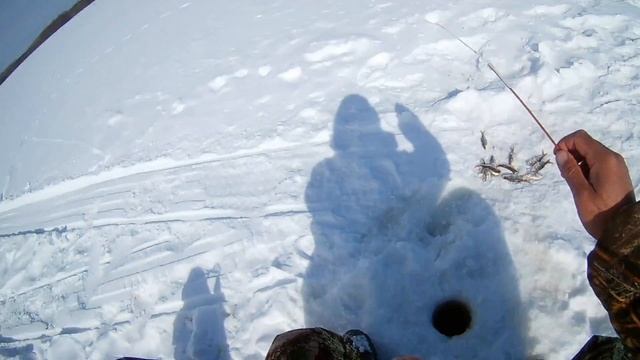 Отличный клев плотвы, рыбалка на Волге, Васильсурск. смотреть онлайн