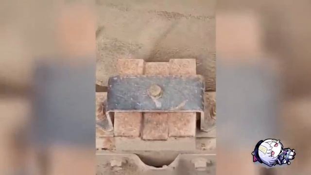 смешные моменты автор:#smex cat смотреть онлайн