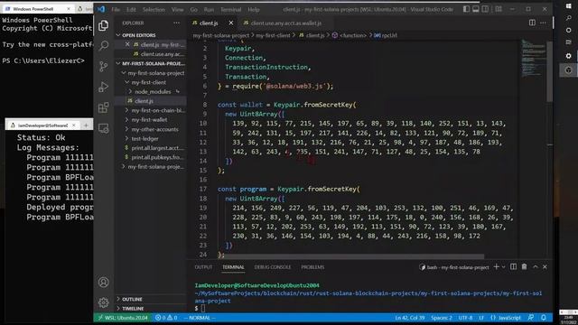 Blockchain Programmer-Part 15: Create Solana Account With Space For Persistent Custom Data смотреть онлайн