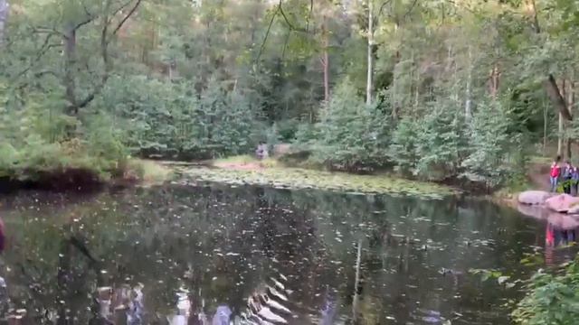 Питер, озеро в Комарово смотреть онлайн