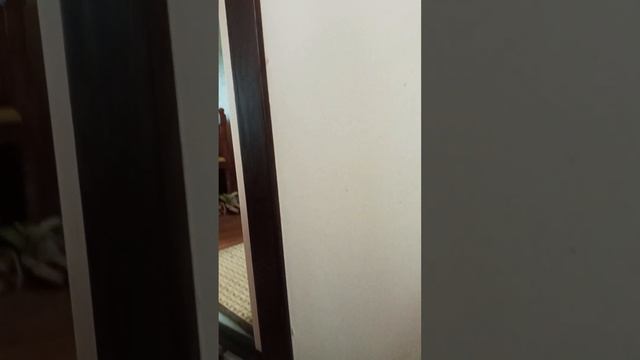 если хотите делайте это 1 вариант , делайте если ремонт очень хорошо помогает