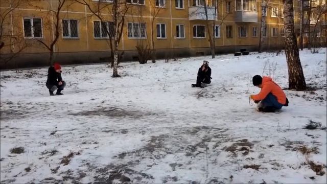 Фотографирование щенка по кличке Маска 8.12.13 смотреть онлайн