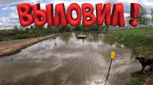 ИНДЮКИ БУДУТ ! ПОЧИСТИЛ ПРУД ! ГУСЯТА ВЫРОСЛИ !