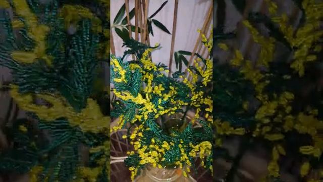 МИМОЗА ИЗ БИСЕРА смотреть онлайн