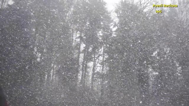 RUGĂ PENTRU PĂRINȚI-Adrian Păunescu/ (cover) voce: Giorgiana Ștefania Ciomaga смотреть онлайн