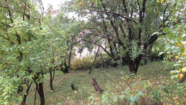 Примяты травы... смотреть онлайн