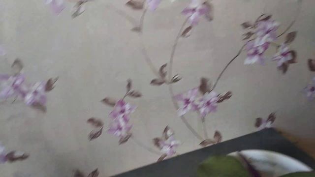 Результаты посадок орхидей в Лечуза Пон# и живой мох#?