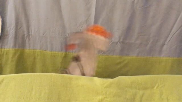 Театр на тему "Ночь перед Рождеством" Н. В. Гоголя смотреть онлайн