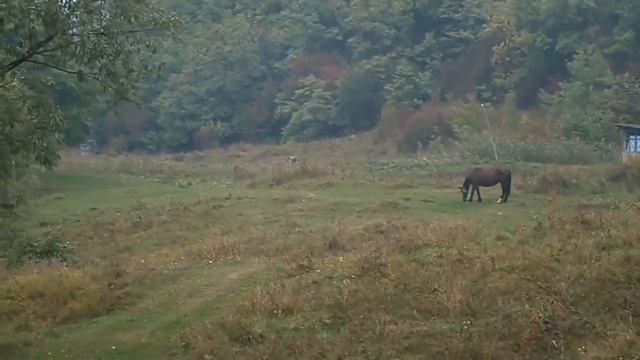 Маленькому Жеку. Анна Заруба. "Стихи их прошлой жизни" смотреть онлайн