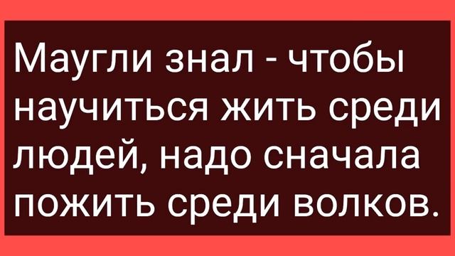 Девушка Блондинка Хотела Расплатиться с Автомехаником! Сборник Свежих Смешных Жизненных Анекдотов! смотреть онлайн