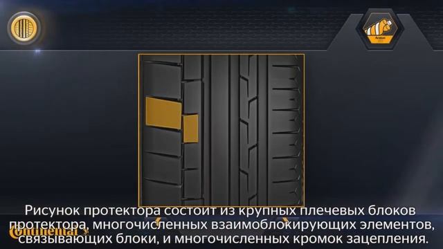 Обзор шины Continental SportContact 6