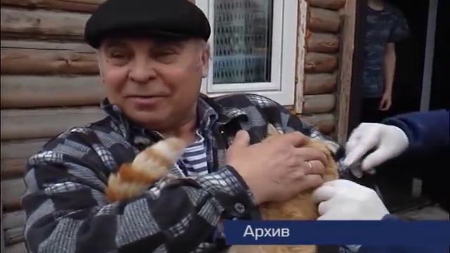 Бесплатная прививка для питомцев смотреть онлайн