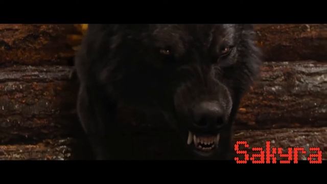 "ВОЛК" Стихи Сергей Андрианов, Музыка Александрр Самбурский смотреть онлайн