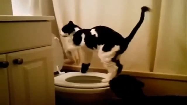 Исполнение желания. смотреть онлайн