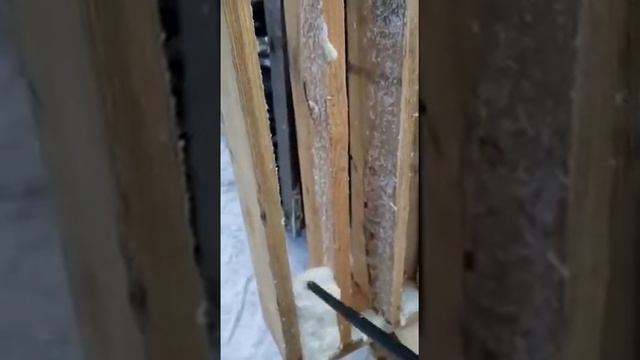 Тест зимней монтажной пены Bazis 65л.