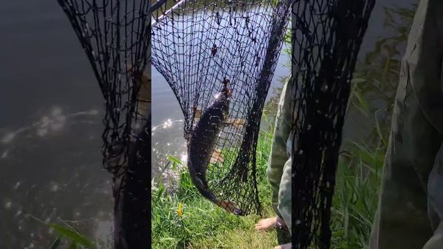 Рыбалка село Охотниково, Сакский р-он "Петькина речка" смотреть онлайн