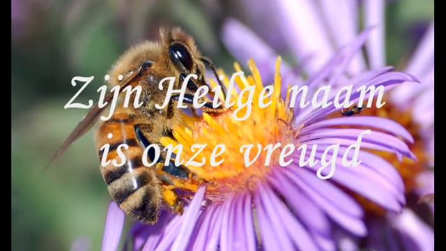 Psalm 33 смотреть онлайн
