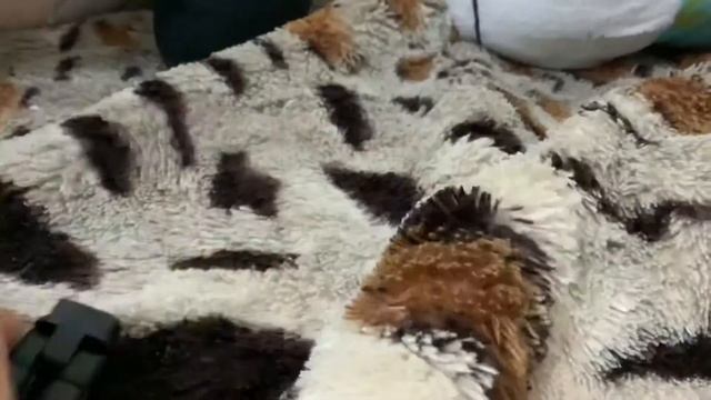 Arsenal roblox toys смотреть онлайн