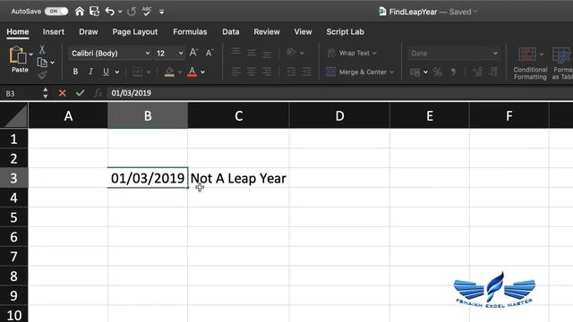 2 Different Formulas - Check Date is Leap Year in Excel (mac & windows) смотреть онлайн