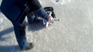 Рыбалка на снасти с бородкой. Селедка любит эту снасть!