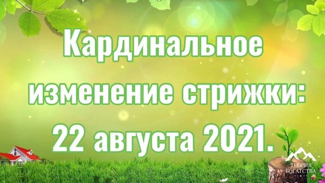 ЛУННЫЙ КАЛЕНДАРЬ СТРИЖЕК И ОКРАШИВАНИЕ ВОЛОС В АВГУСТЕ 2021 года смотреть онлайн