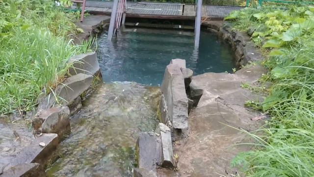 Святой источник во имя великомученицы Параскевы Пятницы "Семь ручьев" смотреть онлайн