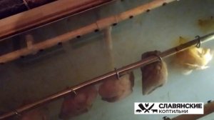 Холодное копчение курицы! Много и быстро! Электростатическая коптильня для бизнеса!