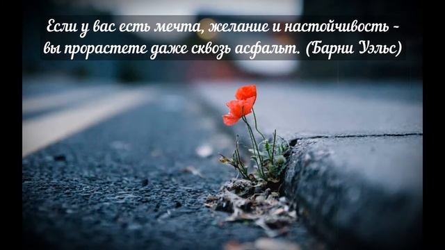 Мотивация в цитатах на успех. Смотреть с утра. Зарядиться позитивом! смотреть онлайн