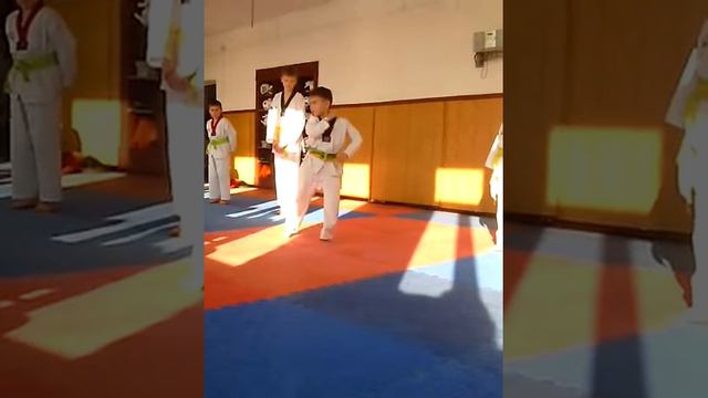 зелёный пояс смотреть онлайн