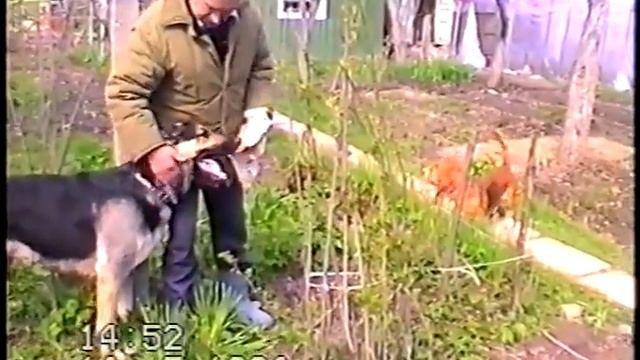 1994 год Семья Дача Рэм смотреть онлайн