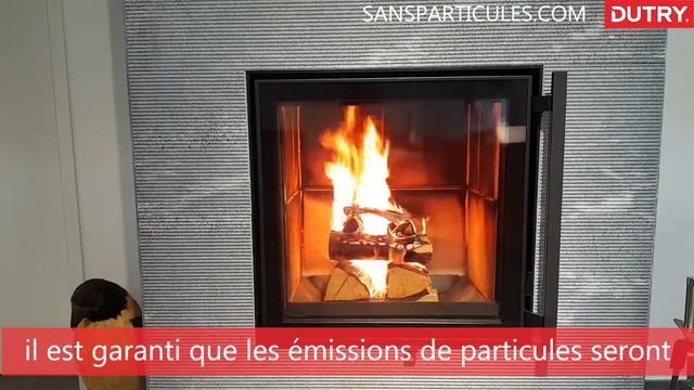 Le feu de bois sans particules смотреть онлайн