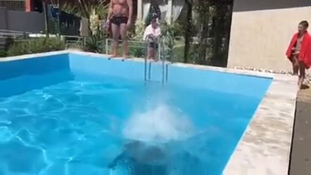 Сальтуха жесть смотреть до конца Абхазия Сухум смотреть онлайн