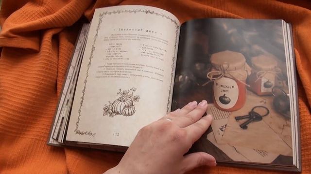 Книга вдохновения | daryadarcy | Дарья Левина | #105 | #книгоспам смотреть онлайн