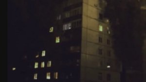 Монстр палочник в России. Всё в сборе. Station922.mkv [Хоррор истории]