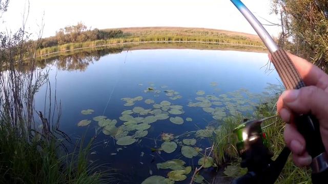 Самодельная снасть для ловли окуня и плотвы смотреть онлайн