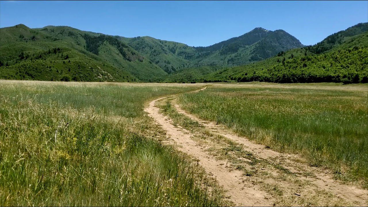 ЗЕМЛЕ МОЕЙ смотреть онлайн