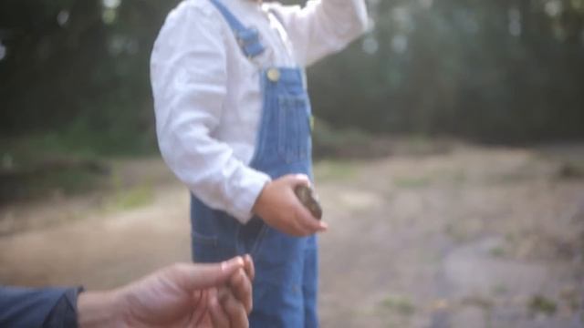 Psalm 23: The Lord's My Shepherd // Sounds Like Reign смотреть онлайн