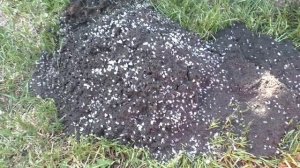 Замена загрузки в колонне спустя год водоочистка