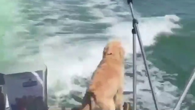 Смотри как умеем смотреть онлайн