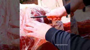 Разделка верблюда этническими ножами МАНСИ-ЭРА