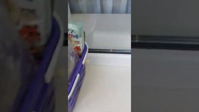 Room Tour по клетке|| Чем питаются шиншиллы? смотреть онлайн