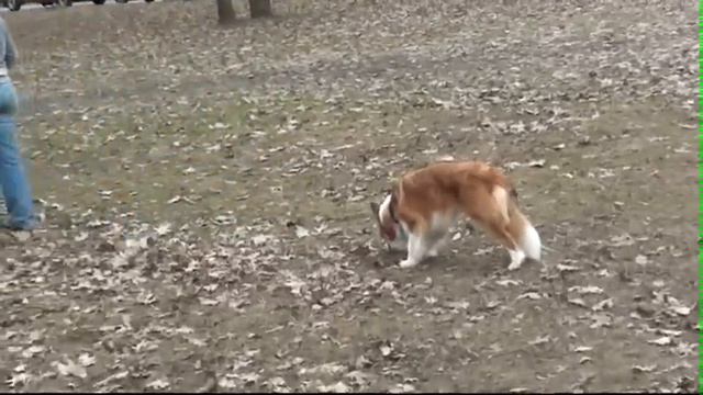 M2U00093_остановка из движения.avi смотреть онлайн