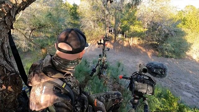 Bacon Quest '22 | Texas Hog Hunting смотреть онлайн