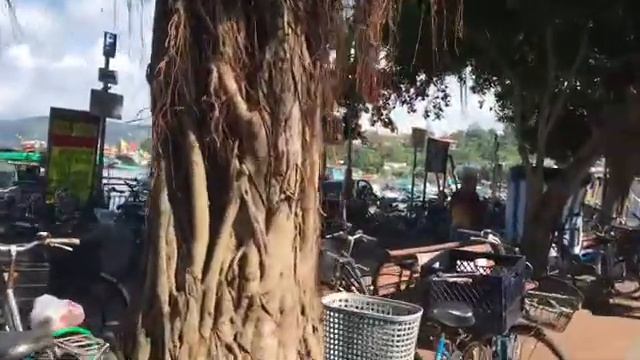 EXPLORING  CHEUNG CHAU ISLAND HONGKONG /#MSTINAGVLOG