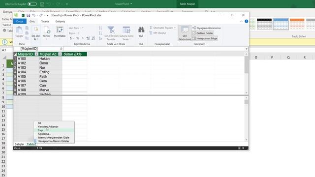 PowerPivot (Orta Düzey Excel Dersleri #12) смотреть онлайн