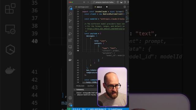 I used it! - Claude 3 Haiku on Amazon Bedrock - NodeJS text and image prompt. смотреть онлайн